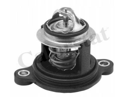 Termostat Środka Chłodzącego Th7335.50J