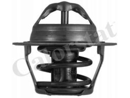 Termostat Środka Chłodzącego Th4898.92J