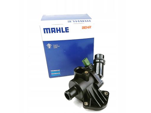 Termostat Środka Chłodzącego Tm 3 100