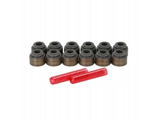 Zestaw Uszczelniaczy Trzonka Zaworów 19036005