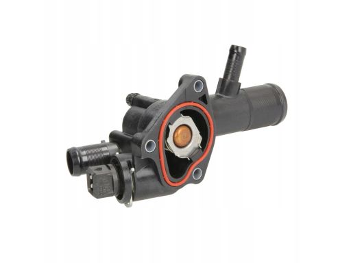 Termostat Środka Chłodzącego Ti 39 89