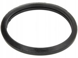 Uszczelka Termostatu 292.260