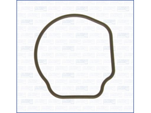 Uszczelka Termostatu 01096800