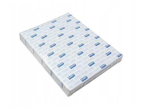 Uszczelka Termostatu 01338700