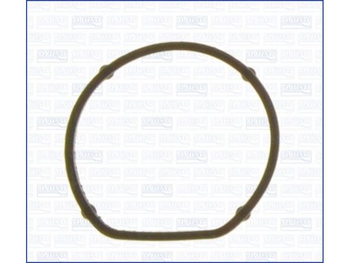 Uszczelka Termostatu 01140900