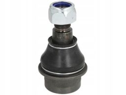 Sworzeń Wahacza 12196