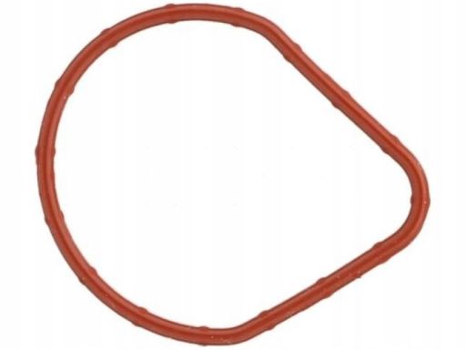 Uszczelka Termostatu 01167500