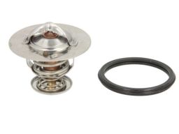 Termostat Środka Chłodzącego D22002Tt