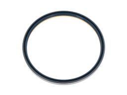 Uszczelniacz Piasty Koła 12019601B