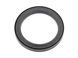 Uszczelniacz Wału Korbowego 12019863B