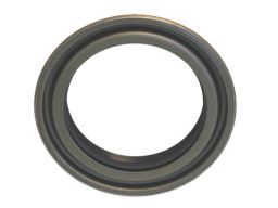 Uszczelniacz Piasty Koła 19016652B