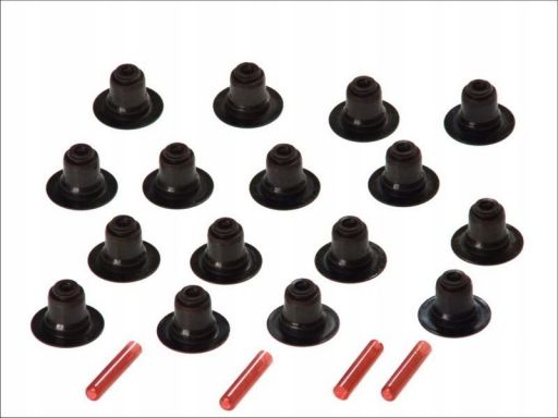 Zestaw Uszczelniaczy Trzonka Zaworów 19026653