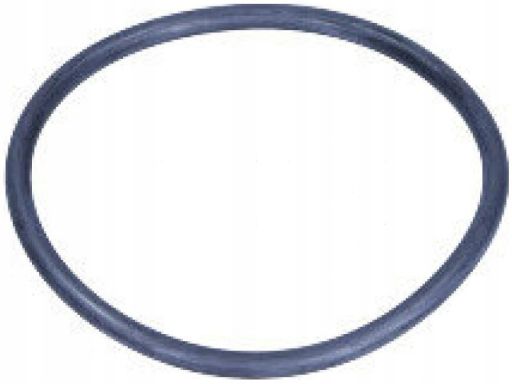 Uszczelka Termostatu 17964