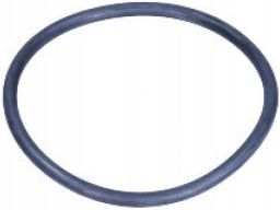 Uszczelka Termostatu 17964