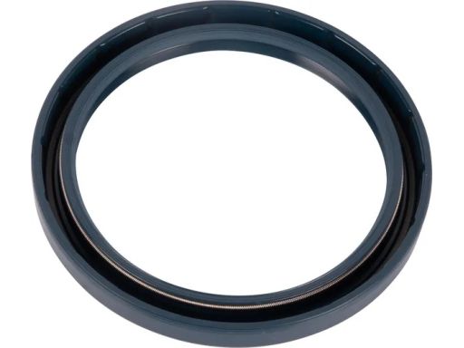 Uszczelniacz Wałka Manualnej Skrzyni Bie 12002284B