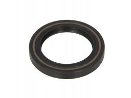 Uszczelniacz Wału Korbowego 12010696B