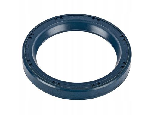 Uszczelniacz Piasty Koła 12010931B