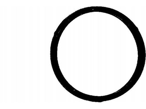 Uszczelka Termostatu 447.260