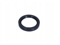 Uszczelniacz Piasty Koła 12011179B