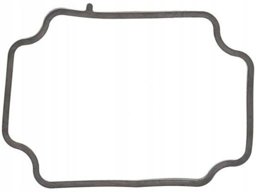 Uszczelka Obudowy Termostatu 539.560