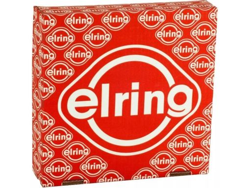 Uszczelka Termostatu 690.730