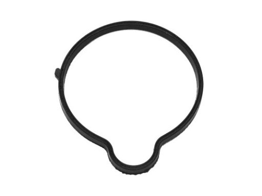 Uszczelka Termostatu 690.730