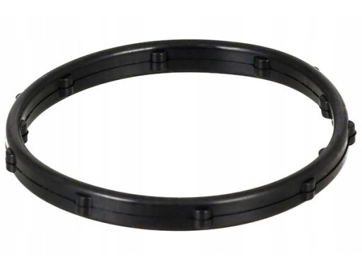 Pierścień Uszczelniający, Termostat 568.960