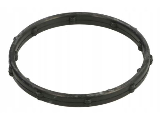 Pierścień Uszczelniający, Termostat 568.960