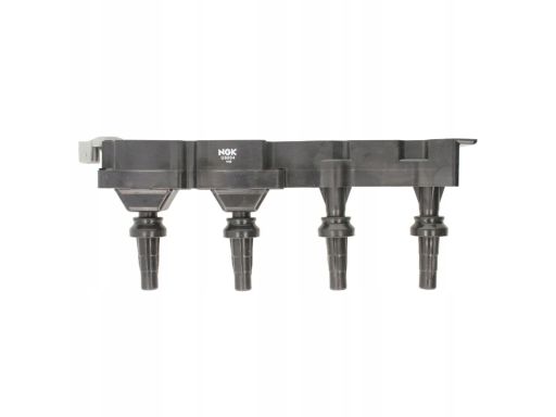 Cewka Zapłonowa 48014