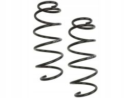 Sprężyna Zawieszenia Ra3307