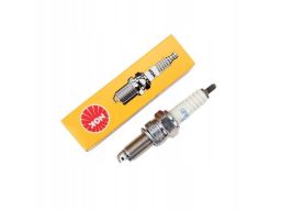 Świeca Zapłonowa 5829