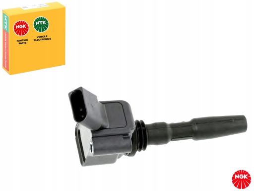 Cewka Zapłonowa 48408