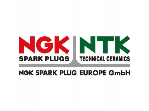 Świeca Zapłonowa 6714