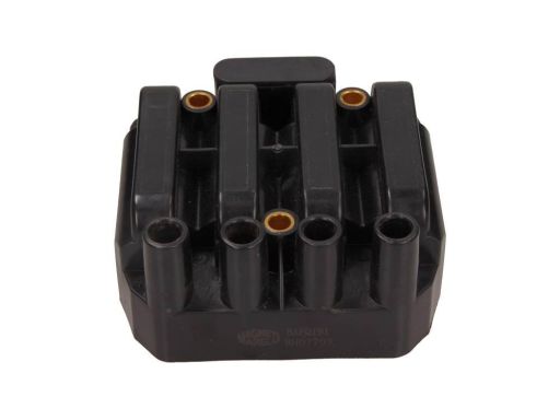 Cewka Zapłonowa 060717191012