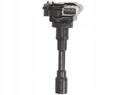 Cewka Zapłonowa Gn10318-12B1