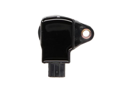 Cewka Zapłonowa Ent960010