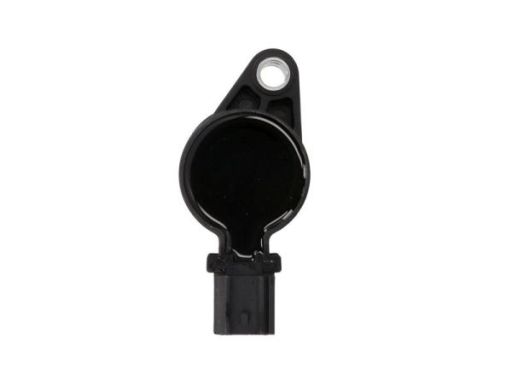 Cewka Zapłonowa Ent960060