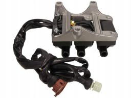 Cewka Zapłonowa Gn10806-12B1