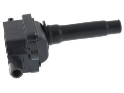 Cewka Zapłonowa Baeq097