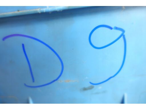 Filtr Paliwa Kl 431D