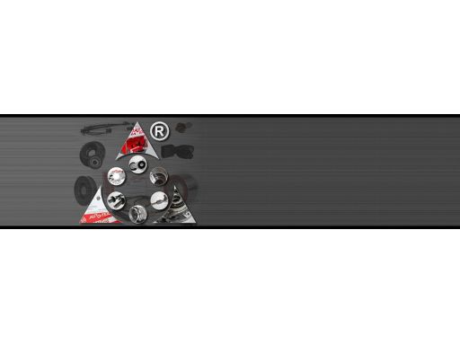 Czujnik Masy Powietrza Lm1008