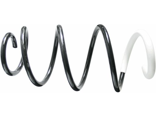 Sprężyna Zawieszenia 993 301