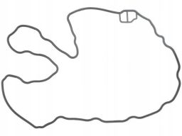 Uszczelka Pokrywy Zaworów 156.352
