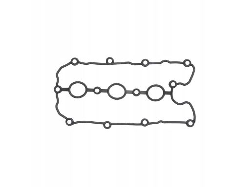 Uszczelka Pokrywy Zaworów 429.980