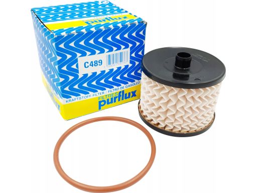 Filtr Paliwa C489