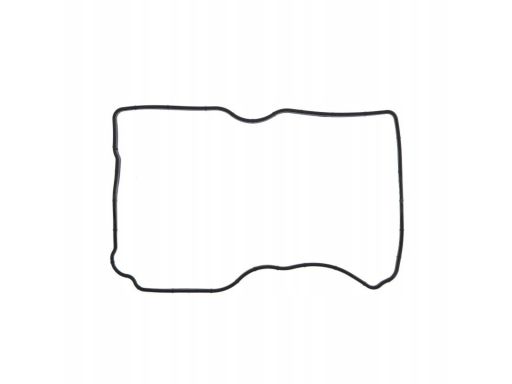 Uszczelka Pokrywy Zaworów 648.150