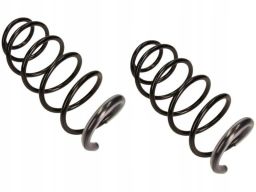 Sprężyna Zawieszenia Rh6069