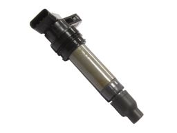 Cewka Zapłonowa 133892