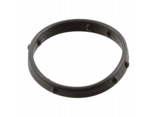 Uszczelka Pokrywy Zaworów 101006