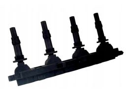 Cewka Zapłonowa 060717064012